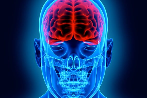 Car accidents 3rd leading cause of brain injuries in the U.S.